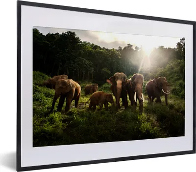 Produktbild von MuchoWow® MuchoWow® Gerahmtes Poster Wald - Elefanten - Licht 40x30 cm - Poster mit zchwarzem Bilderrahmen - Bilderrahmen - Poster im Rahmen