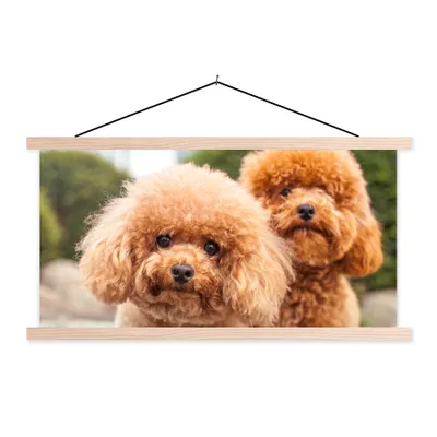 Produktbild von MuchoWow® Textilposter Eine Nahaufnahme der braunen Welpen 120x60 cm mit holzfarbenen Rahmen - Klemmleiste