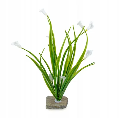 Produktbild von Aquarium Pflanzen Künstlich, 20 cm 20 cm mit Natursteinbeschwerer