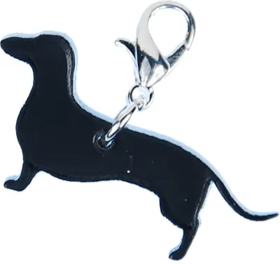 Produktbild von Dackel Charm Anhänger Bettelarmband Miniblings Hund Saussage dog Acrylglas