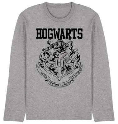 Immagine prodotto di Harry Potter - T-shirt unisex da uomo/donna, maniche lunghe, modello TV40706 (taglia L), colore: grigio sportivo