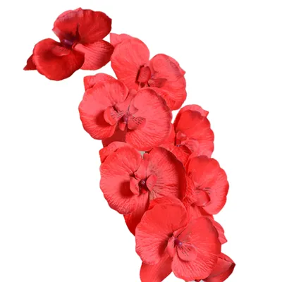 Produktbild von 1 stück künstliche blume schmetterling orchidee garten diy hochzeit party desktop dekor-Rot