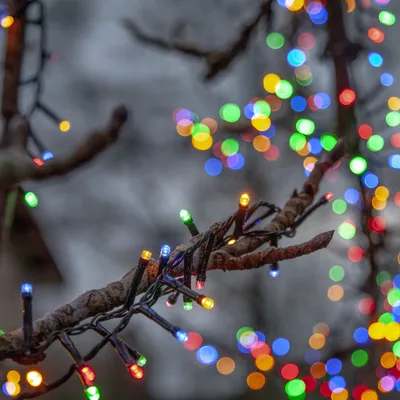 Produktbild von LED-Lichterkette 'Flashy', 800 bunte LED