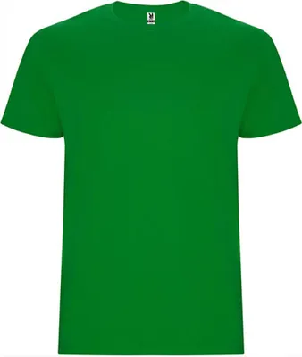 Produktbild von Roly CA6681 | Stafford T-Shirt - Doppellagiger Rundhalskragen - Farbe: Grass Green 83 - Größe: XXL