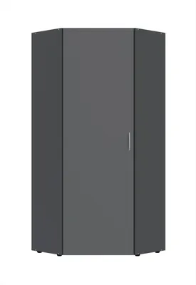 Produktbild von Eckschrank >MULTIRAUMKONZEPT< in Graphit - 80x185x80cm (BxHxT)