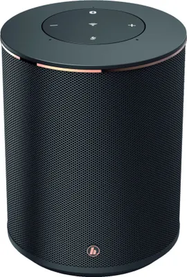 A black cylindrical smart speaker with copper accents and controls on top.