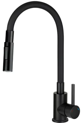 Image de Kitchen faucet with bent spout - 2 types of spray