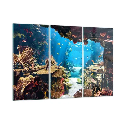 Produktbild von Bilder auf glas - Ozean Riff Fische Koralle - 165x110cm - Glasbilder - Wandbilder - Kunstdruck - zum Aufhängen bereit - Wanddekoration aus Glas - Glas Bilder - Wandbild auf Glas - GCE165x110-2872