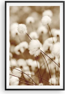 Produktbild von Gerahmtes Poster - Schwarzer Rahmen - Baumwolle Boho Wollig - 61x91,5 cm - Wand Bild - Wanddeko - Wandbilder - Kunstposter - Wandposter - Bilderrahmen - Bilder - Kunstdruck - P2BPA61x91-4850