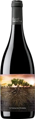 Produktbild von La Garnacha Olvidada de Aragón 2022 Rotwein Spanien Calatayud 75.00 cl 14.0 %