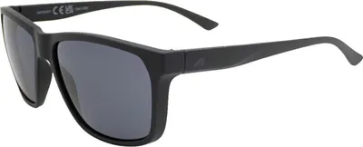 Produktbild von Sonnenbrille Alpina Rayonne              schwarz matt, Glas schwarz, Kat. 3