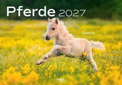 Produktbild von Pferde Kalender 2027 Wandkalender