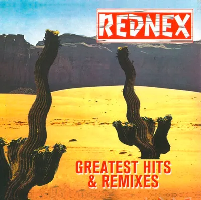 Produktbild von Rednex: Rednex: Greatest Hits & Remixes - ZYX Music  - (LP / G)