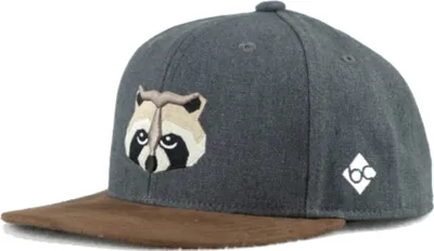Produktbild von BAVARIAN CAPS Kids Snapback Cap Waschbär dunkelgrau
