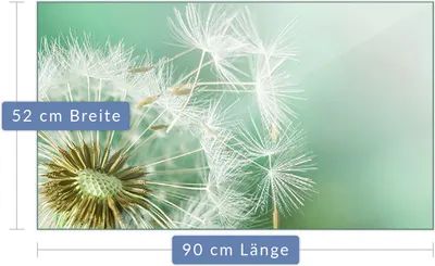 Produktbild von Herdabdeckplatte Abdeckung Glaskeramikfeld Abdeckplatte 1-Teilig 90x52 Pusteblume Glas
