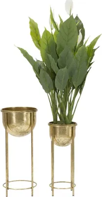 Produktbild von Mauro Ferretti Blumenständer 2er-Set Ø 27x62 und 21,5x52 cm gold
