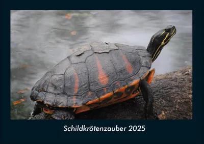 Produktbild von Schildkrötenzauber 2025 Fotokalender DIN A4