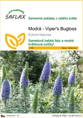 Obrázek produktu pro SAFLAX - Modrá - Viper's Bugloss - Echium fastuosa - 100 Semena