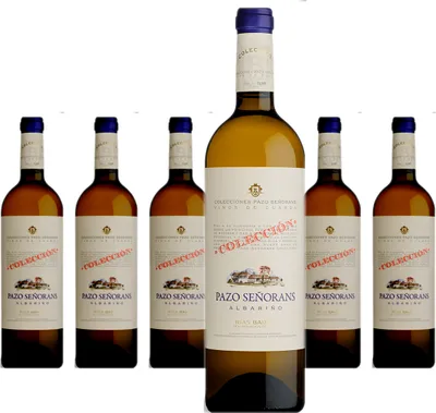 Produktbild von 6 x Pazo Señorans Colección Albariño Rías Baixas