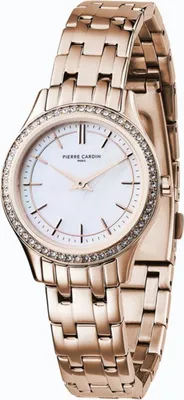Obrázok produktu pre Pierre Cardin Hodinky cf0611scrg