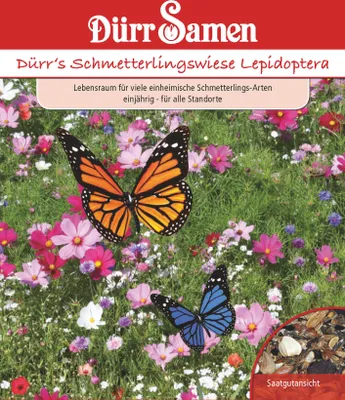 Produktbild von Schmetterlingswiese | Blumensamen von Dürr Samen