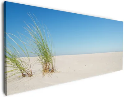 Produktbild von Wallario Premium Leinwandbild Sandstrand unter blauem Himmel in Größe 50 x 125 cm