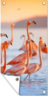 Produktbild von MuchoWow® 30x60 cm Outdoor-Poster Gartendeko Sichtschutz Garten Poster für den Garten  Flamingo - Tiere - Wasser - Rosa
