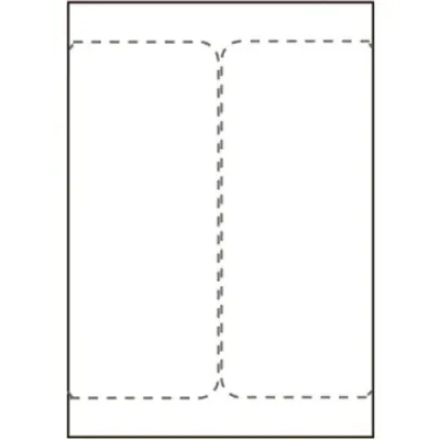 Zdjęcie produktu dla Capture SHIPLABEL105X220-I2P