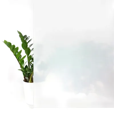 A potted plant is placed next to a frosted glass panel.