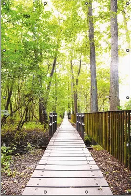 Produktbild von Wallario Outdoor-Poster für Garten oder Balkon, Motiv Spaziergang im Wald  Holzweg über einen Fluss, in ca. 120 x 180 cm