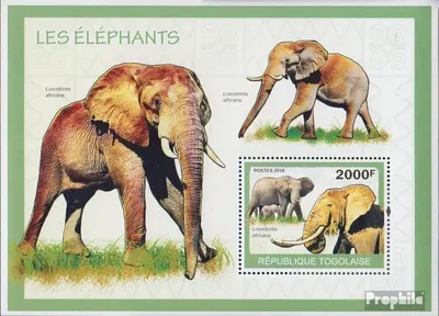 Produktbild von Briefmarken Togo 2010 Mi Block507 (kompl.Ausg.) postfrisch Afrikanischer Elefant