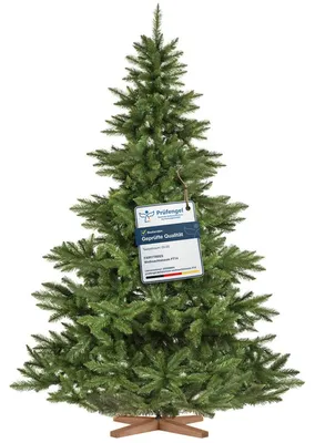 Obrázok produktu pre Umelý vianočný stromček – Nordmann, 220 cm, realistické PVC ihličie