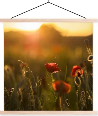 Produktbild von MuchoWow® Textilposter Mohn - Sonnenuntergang - Gold 40x40 cm mit holzfarbenen Rahmen - Posterleiste