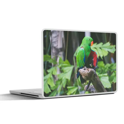 Produktbild von MuchoWow® Laptop Aufkleber Sticker Cover Vogel - Papagei - Grün 32.5x23.5 cm - Sticker für Laptop - Selbstklebend