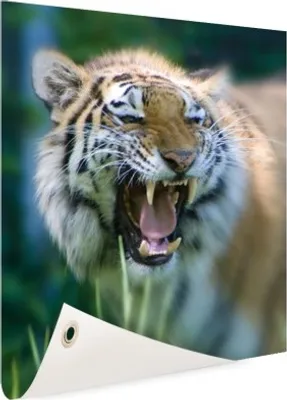 Produktbild von Gartenposter - 40x60 cm - Heftiger Tiger  - Modernes Wandbilder - Wilde Tierposter