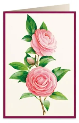 Image de Carnet B6 avec pochette Kamelia 2 5817