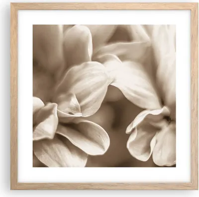 Produktbild von Gerahmtes Poster - Rahmen in heller Eiche - Blumen Boho ohne - 40x40 cm - Wand Bild - Wanddeko - Wandbilder - Kunstposter - Wandposter - Bilderrahmen - Bilder - Kunstdruck - P2NAC40x40-4767
