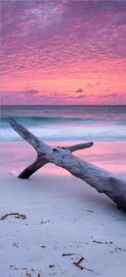 Produktbild von Türtapete Türposter Abendhimmel bei Sonnenuntergang - Größe: 93 x 205 cm