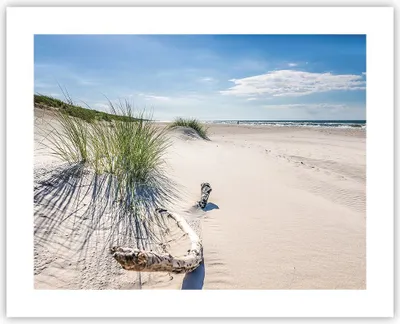 Produktbild von Poster - Poster ohne Rahmen - Mrzezyno Strand Meer - 50x40 cm - Wand Bild - Wanddeko - Wandbilder - Kunstposter - Wandposter - Bilder - Kunstdruck - Wanddekoration - Wandbild - P2XAA50x40-4281