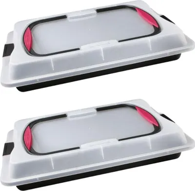 Image de Ensemble de 2 Plaques de cuisson 42 x 29 cm avec couvercle Zenker Special To Go