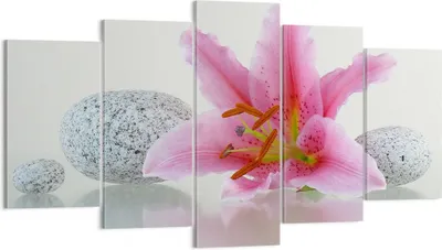Produktbild von Bild auf Leinwand - Leinwandbild - Lilienblüte grün Pflanze - 160x85cm - Wand Bild - Wanddeko - Leinwanddruck - Bilder - Kunstdruck - Wanddekoration - Leinwand bilder - Wandkunst - EA160x85-0485