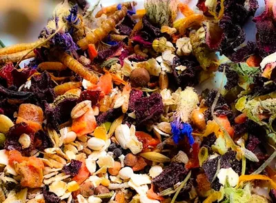 Produktbild von WachtelGlück® Wellness Winteredition