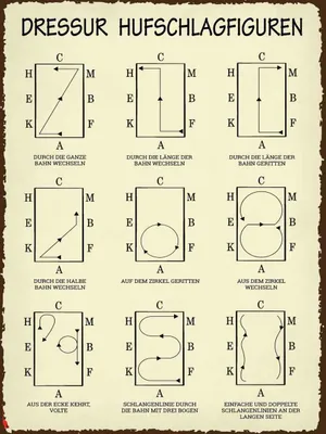 Produktbild von vianmo Holzschild 40x30 cm Dressur Hufschlagfiguren Dekoration