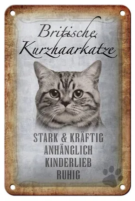 Produktbild von Blechschild Spruch 12x18cm britische Kurzhaarkatze Schild