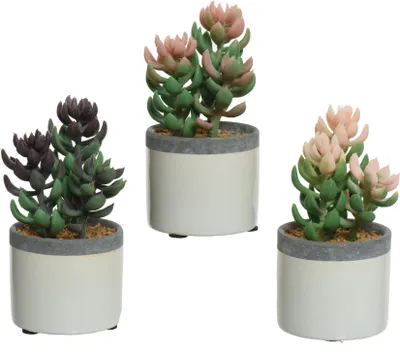 Produktbild von Decoris Kunstpflanze Sukkulente im Keramiktopf H14