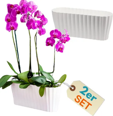 Produktbild von 2er Set Orchideentopf Orchideen Übertopf Pflanztöpfe Übertöpfe für Orchideen aus Kunststoff Innen Elegant Orchideentopf groß weiß