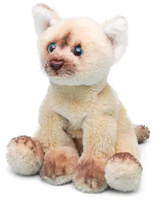 Produktbild von Suki Gifts Pluschkatze Pluschtier - Himalayan - 12 cm - Katze - Katzen
