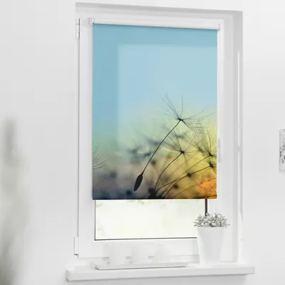 Obrázek produktu pro Roleta propouštějící denní světlo 90x150cm Květina