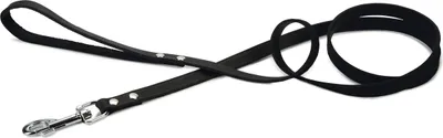 Immagine prodotto di Beeztees - Guinzaglio per cani - rivettato - nero - 165x16 cm