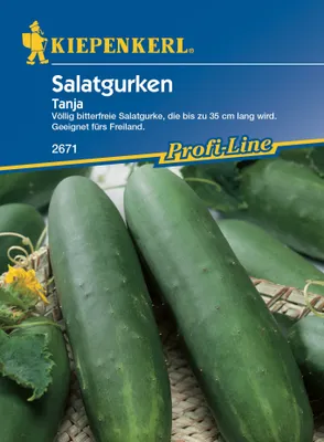 Produktbild von [STREICHUNG 2024] Salatgurke Tanja | Salatgurkensamen von Kiepenkerl